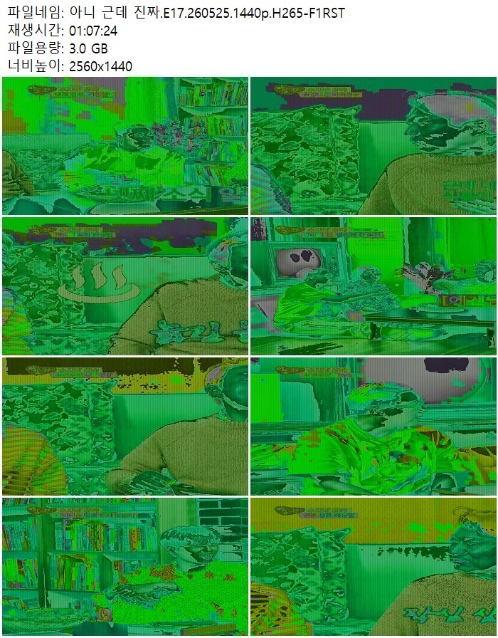 아니 근데 진짜.E17.260525.1440p.H265