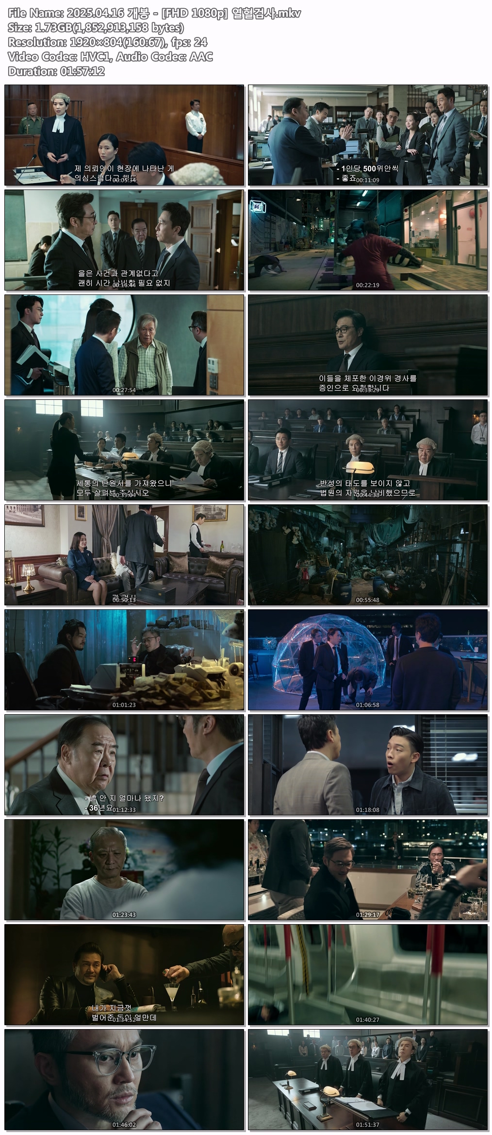 2025.04.16 개봉 - [FHD 1080p] 열혈검사