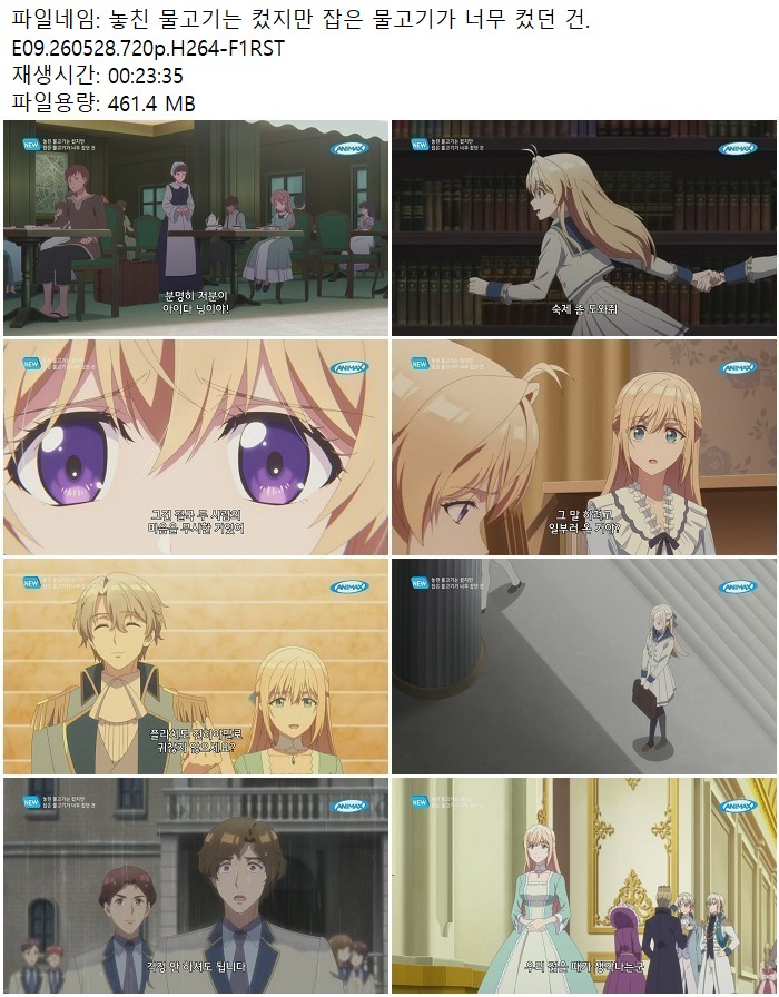 놓친 물고기는 컸지만 잡은 물고기가 너무 컸던 건.E09.260528.720..