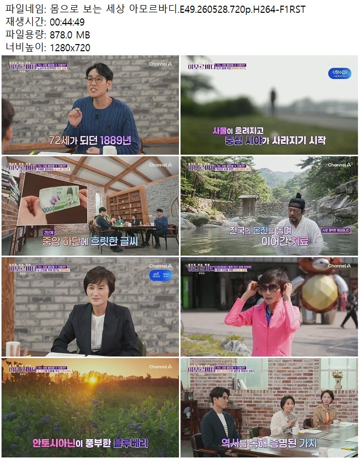 몸으로 보는 세상 아모르바디.E49.260528.720p.H264