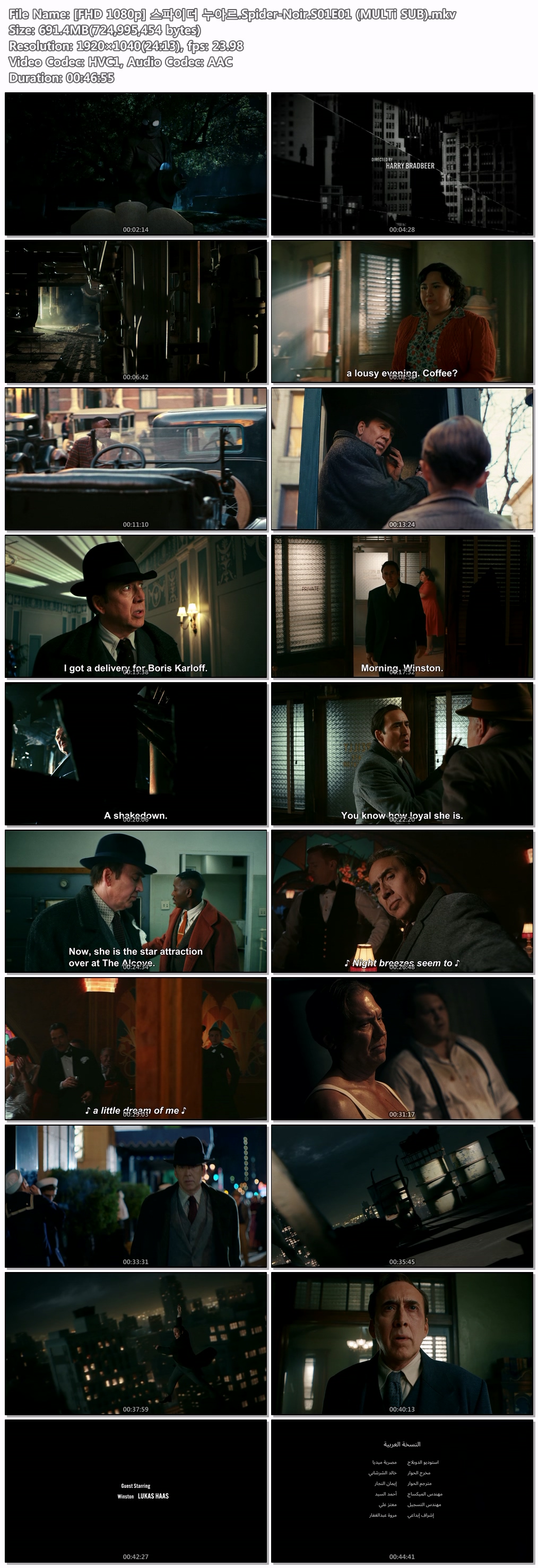 [prime video] 스파이더 누아르(Spider-Noir)