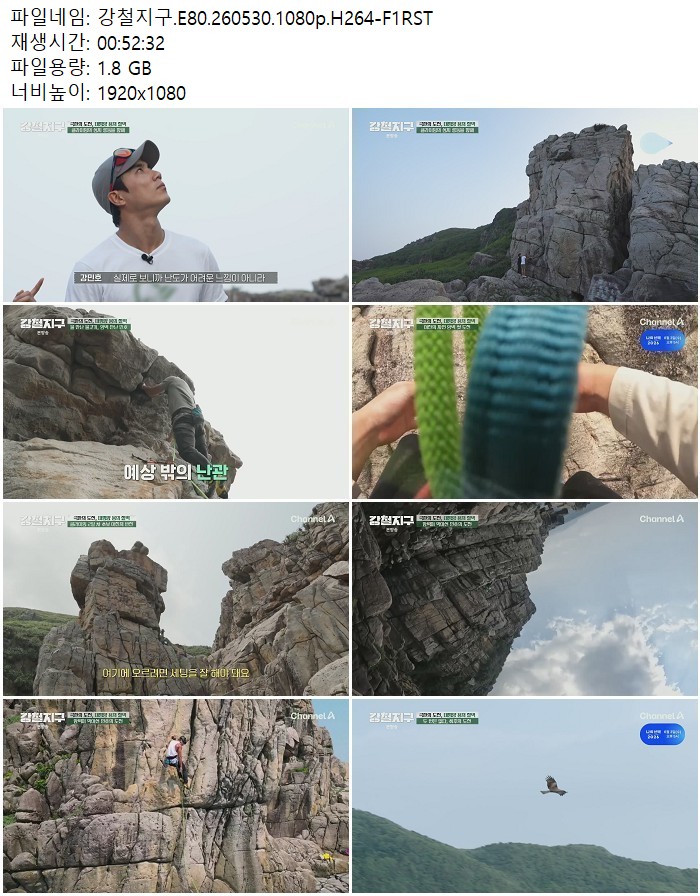 강철지구.E80.260530.1080p.H264
