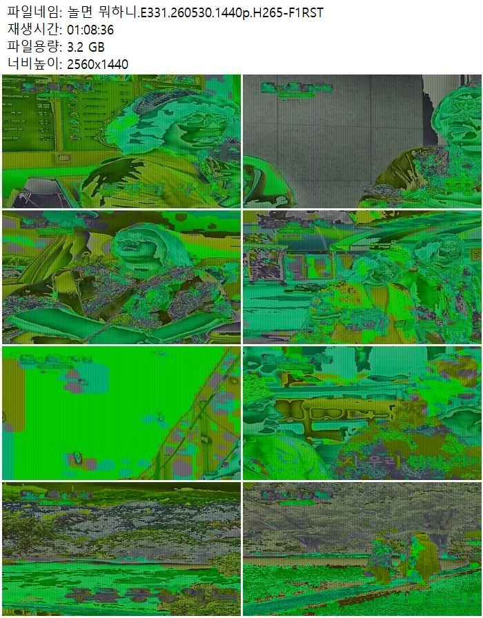 놀면 뭐하니.E331.260530.1440p.H265