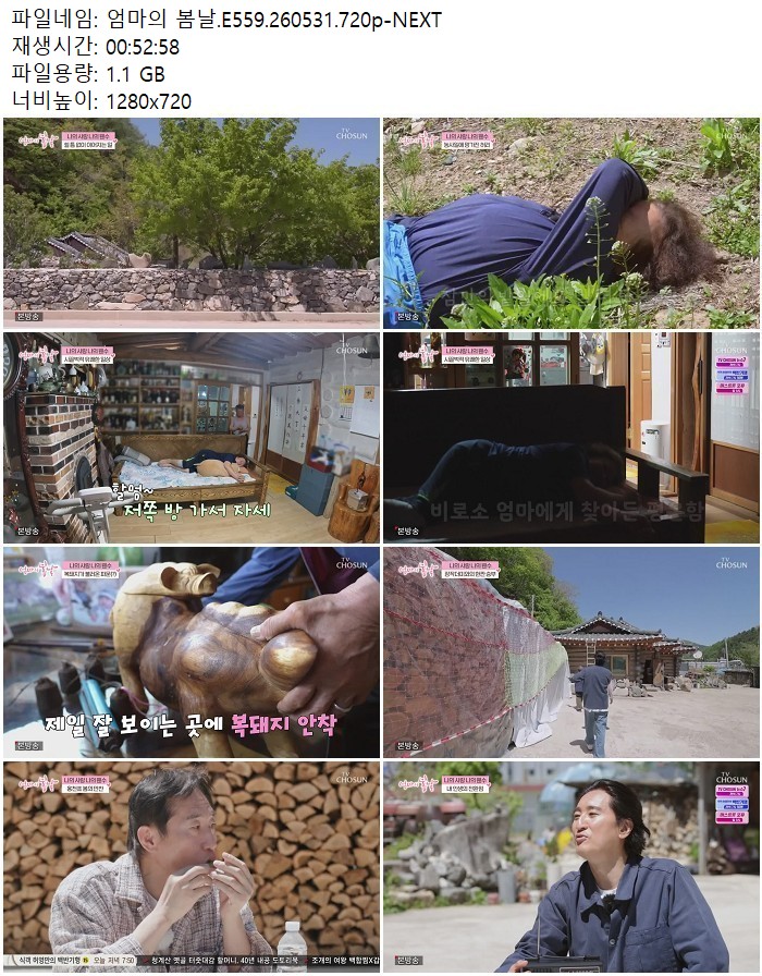 엄마의 봄날.E559.260531.720p-NEXT