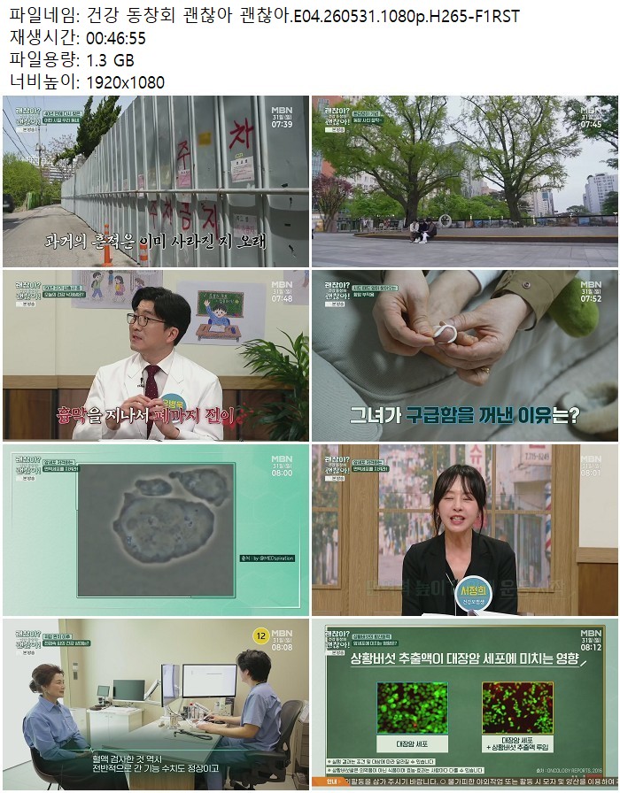 건강 동창회 괜찮아 괜찮아.E04.260531.1080p.H265