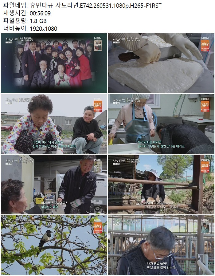 휴먼다큐 사노라면.E742.260531.1080p.H265