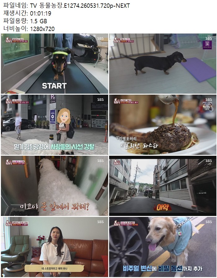 TV 동물농장.E1274.260531.720p-NEXT