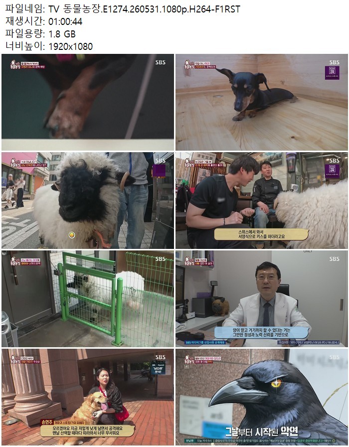 TV 동물농장.E1274.260531.1080p.H264