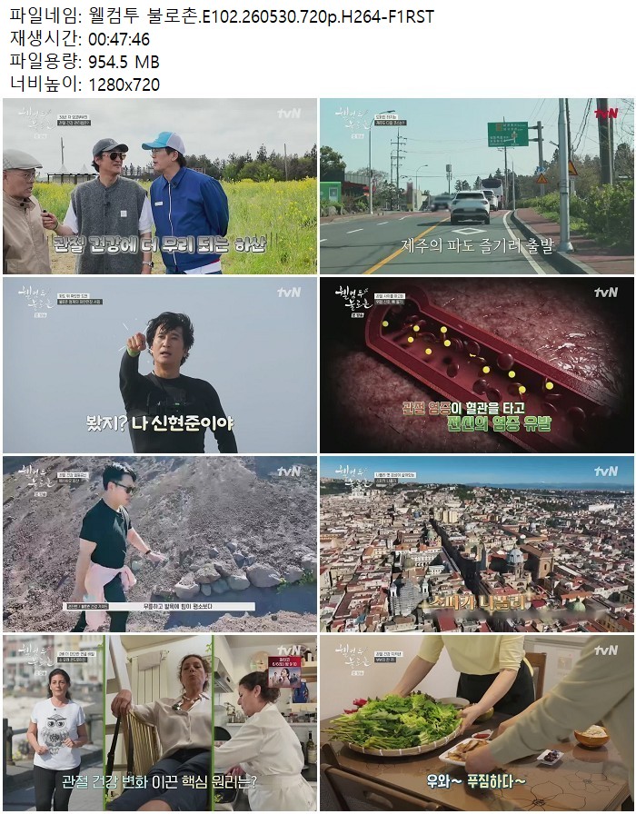 웰컴투 불로촌.E102.260530.720p.H264