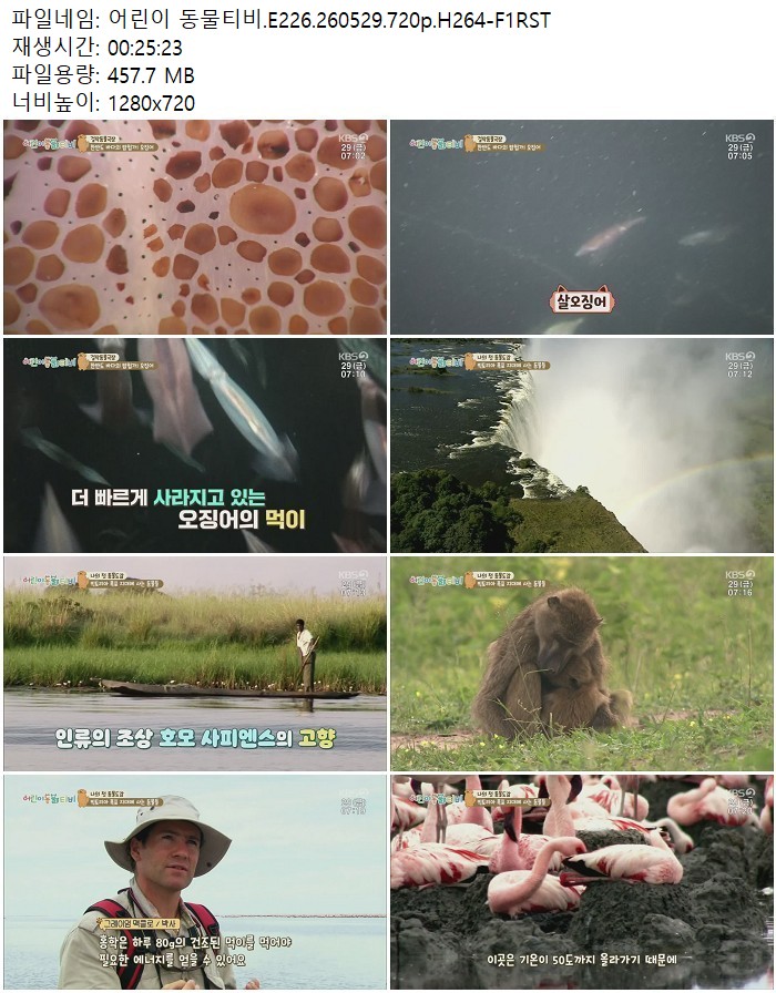 어린이 동물티비.E226.260529.720p.H264