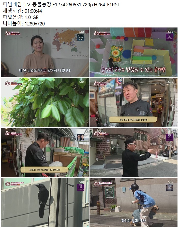 TV 동물농장.E1274.260531.720p.H264