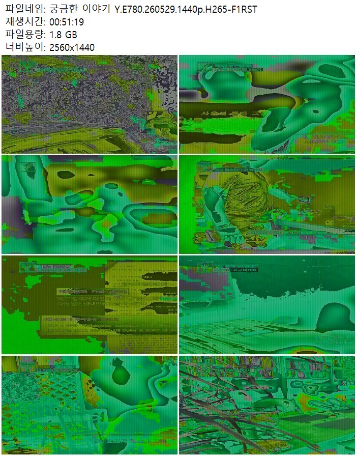 궁금한 이야기 Y.E780.260529.1440p.H265