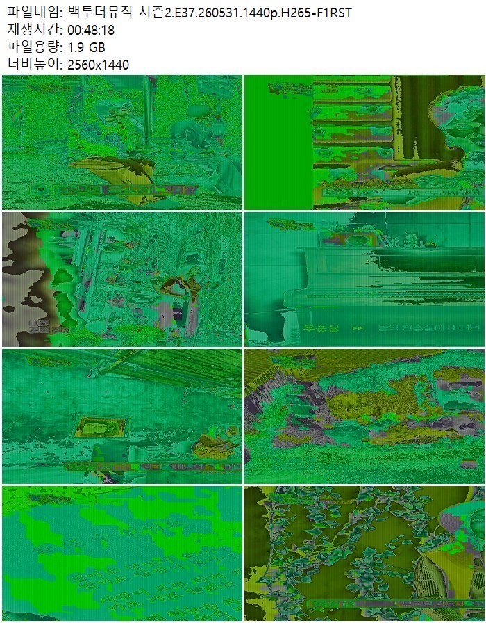 백투더뮤직 시즌2.E37.260531.1440p.H265