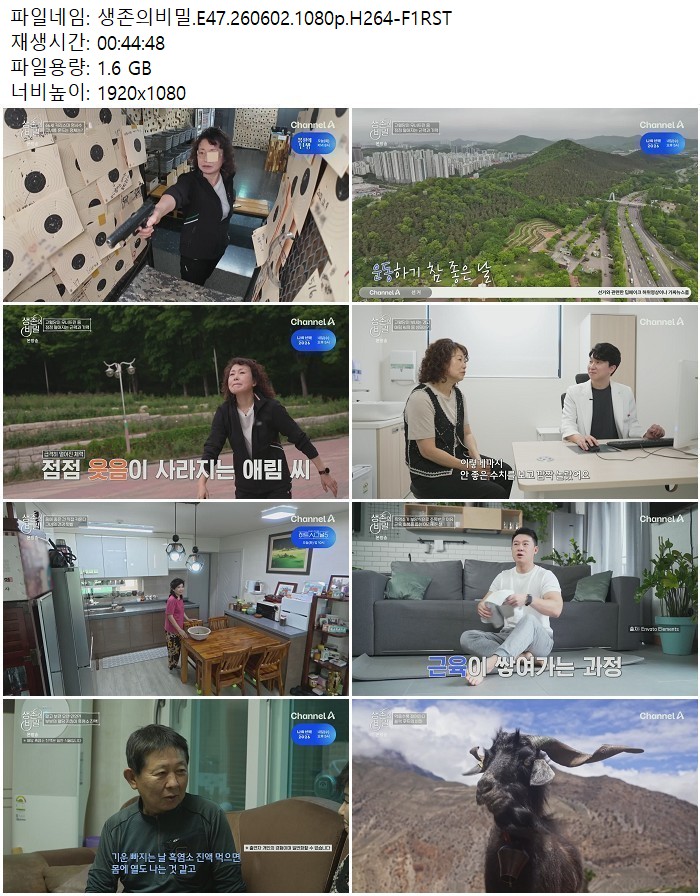 생존의비밀.E47.260602.1080p.H264