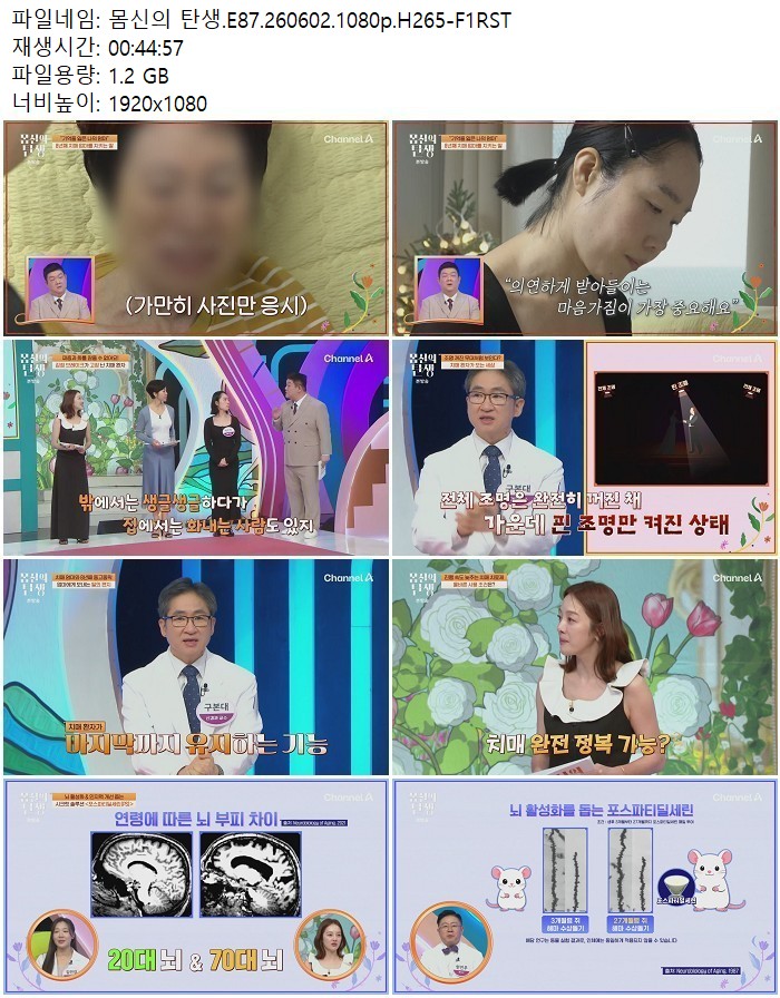 몸신의 탄생.E87.260602.1080p.H265