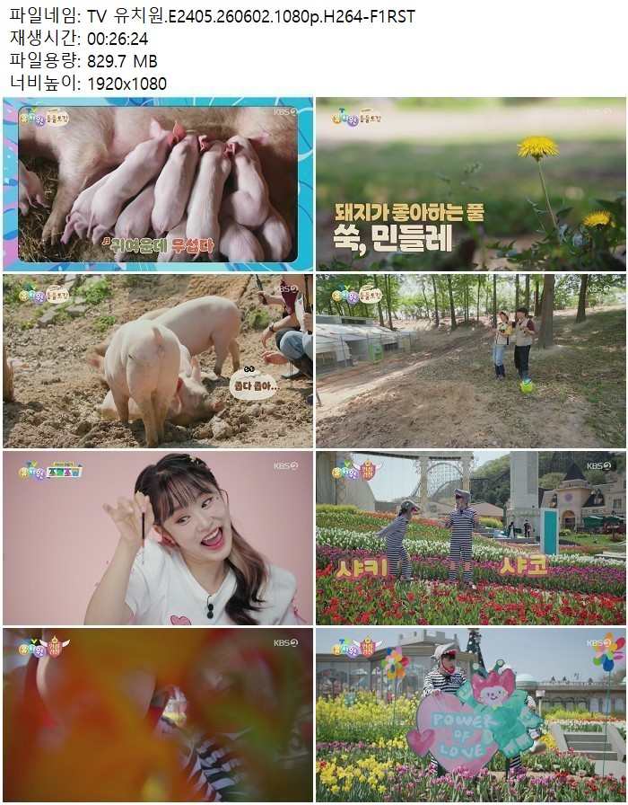 TV 유치원.E2405.260602.1080p.H264