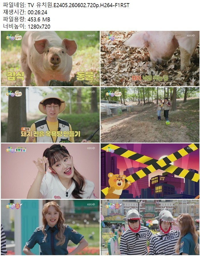 TV 유치원.E2405.260602.720p.H264