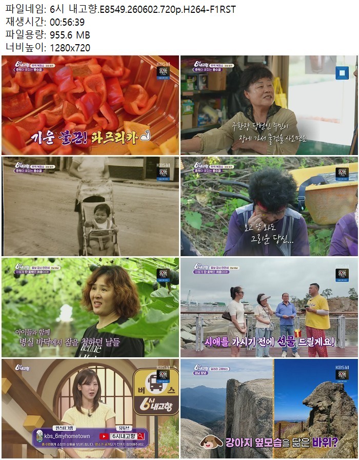 6시 내고향.E8549.260602.720p.H264