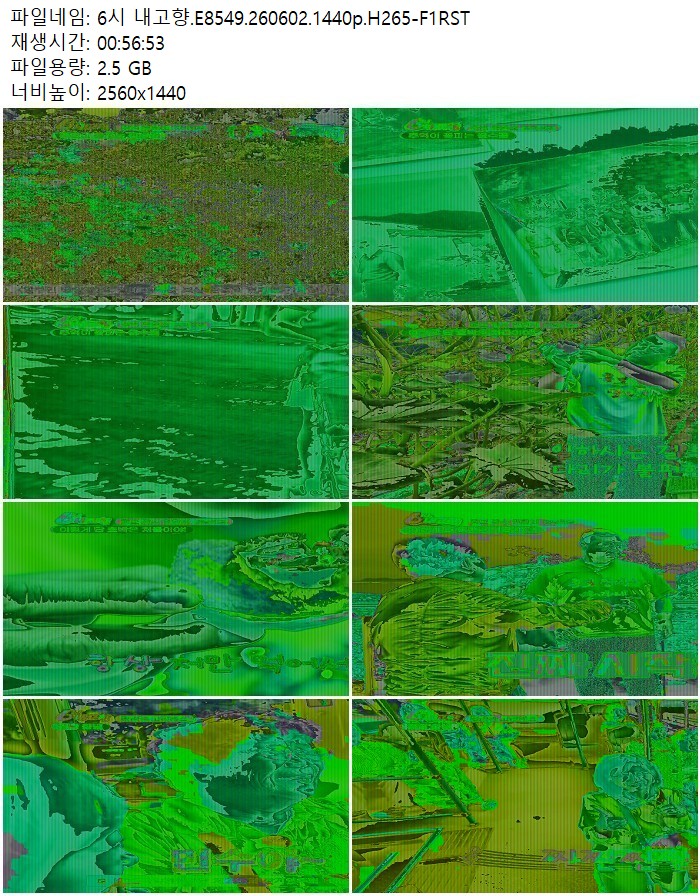 6시 내고향.E8549.260602.1440p.H265