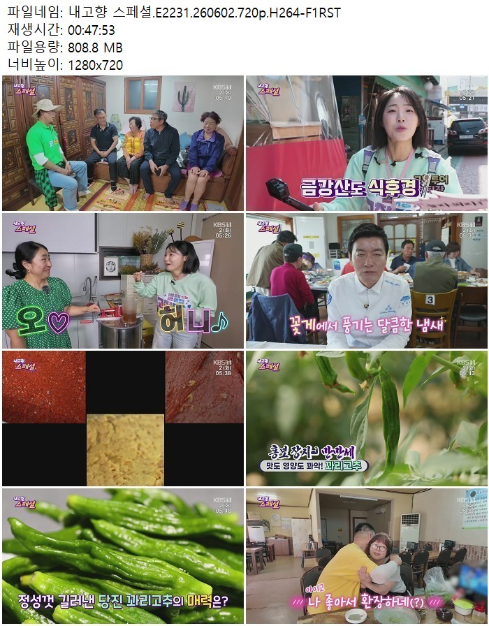 내고향 스페셜.E2231.260602.720p.H264
