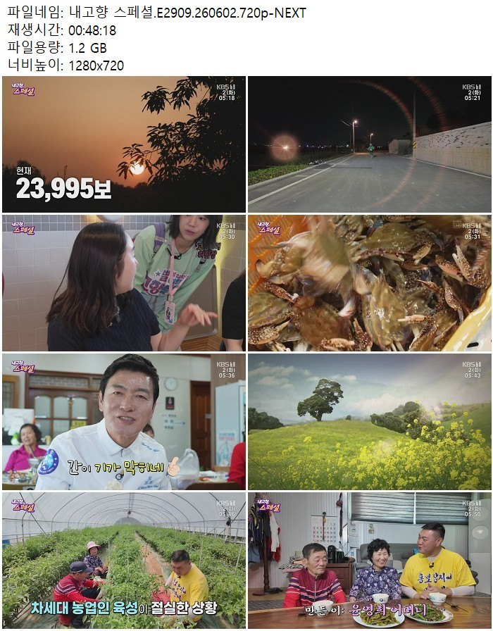 내고향 스페셜.E2909.260602.720p-NEXT