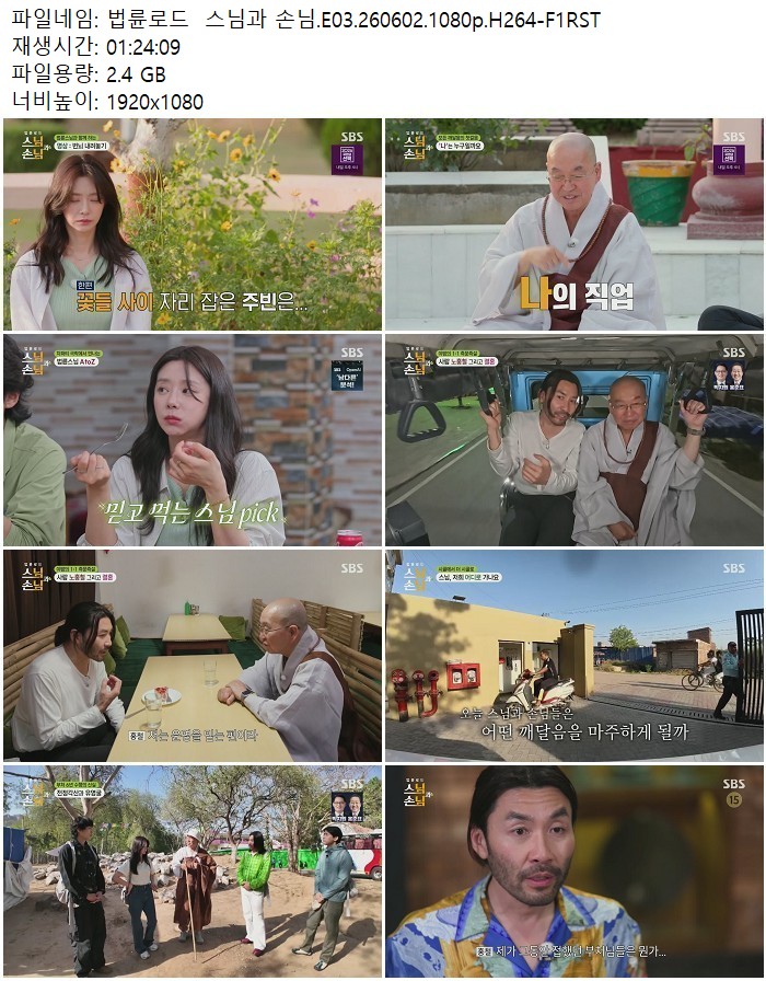 법륜로드  스님과 손님.E03.260602.1080p.H264