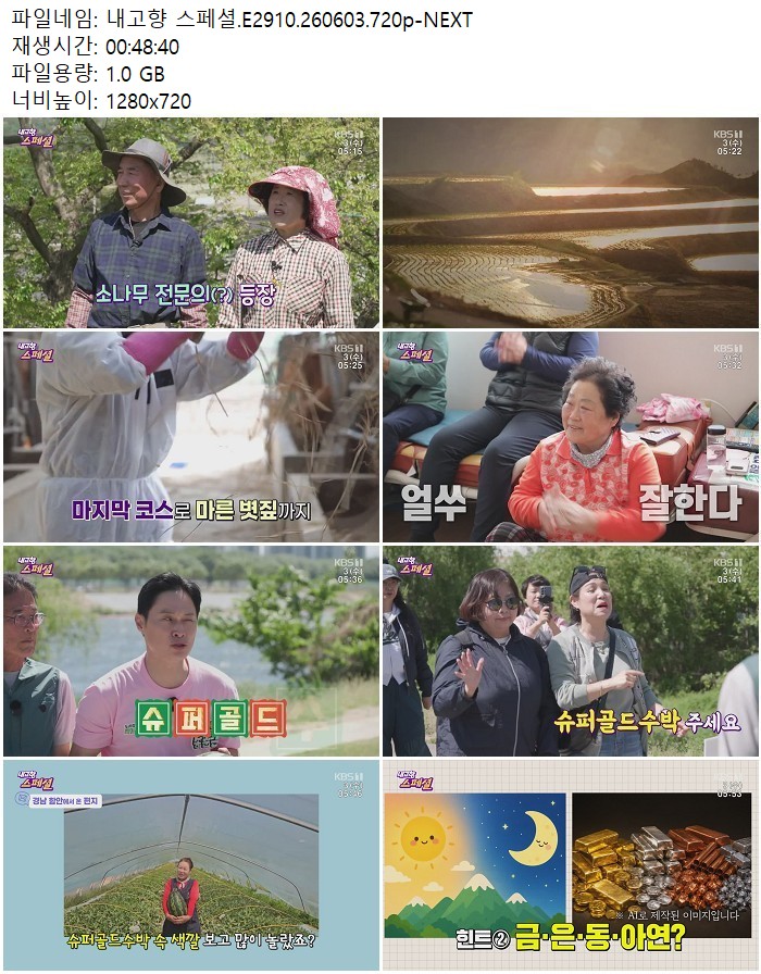 내고향 스페셜.E2910.260603.720p-NEXT
