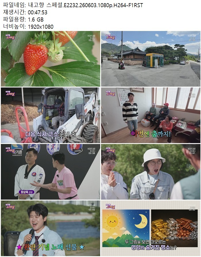 내고향 스페셜.E2232.260603.1080p.H264-F1RST