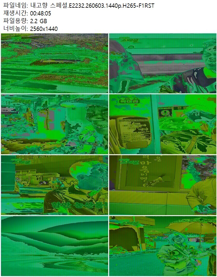 내고향 스페셜.E2232.260603.1440p.H265-F1RST