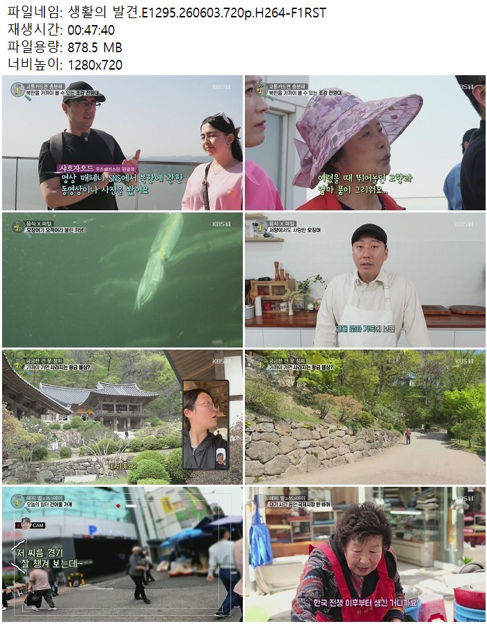 생활의 발견.E1295.260603.720p.H264-F1RST