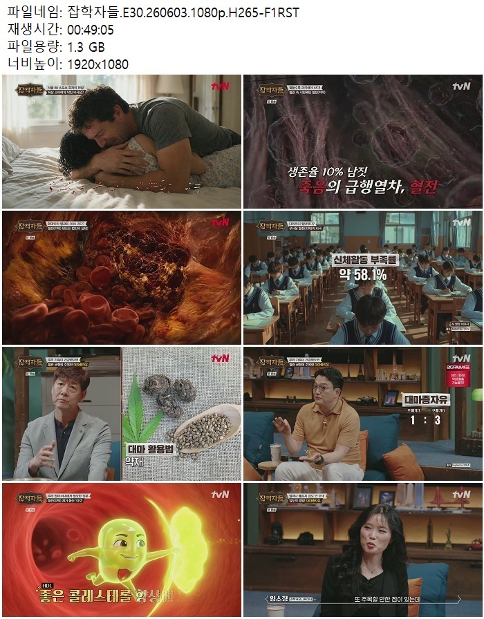 잡학자들.E30.260603.1080p.H265-F1RST