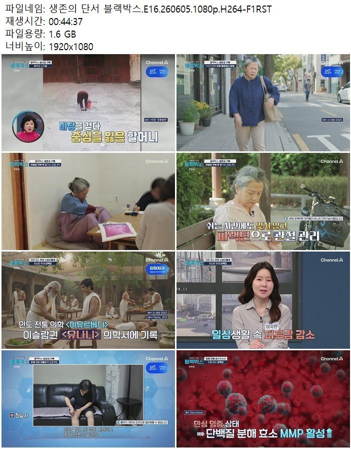 생존의 단서 블랙박스.E16.260605.1080p.H264