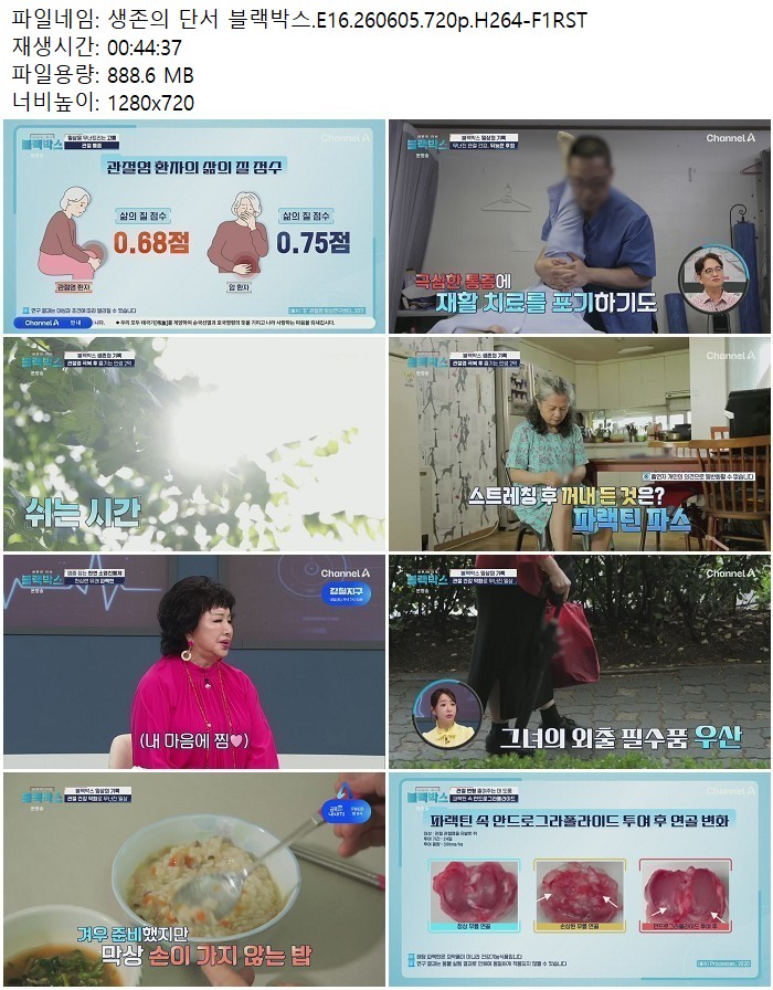 생존의 단서 블랙박스.E16.260605.720p.H264