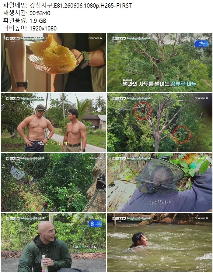 강철지구.E81.260606.1080p.H265