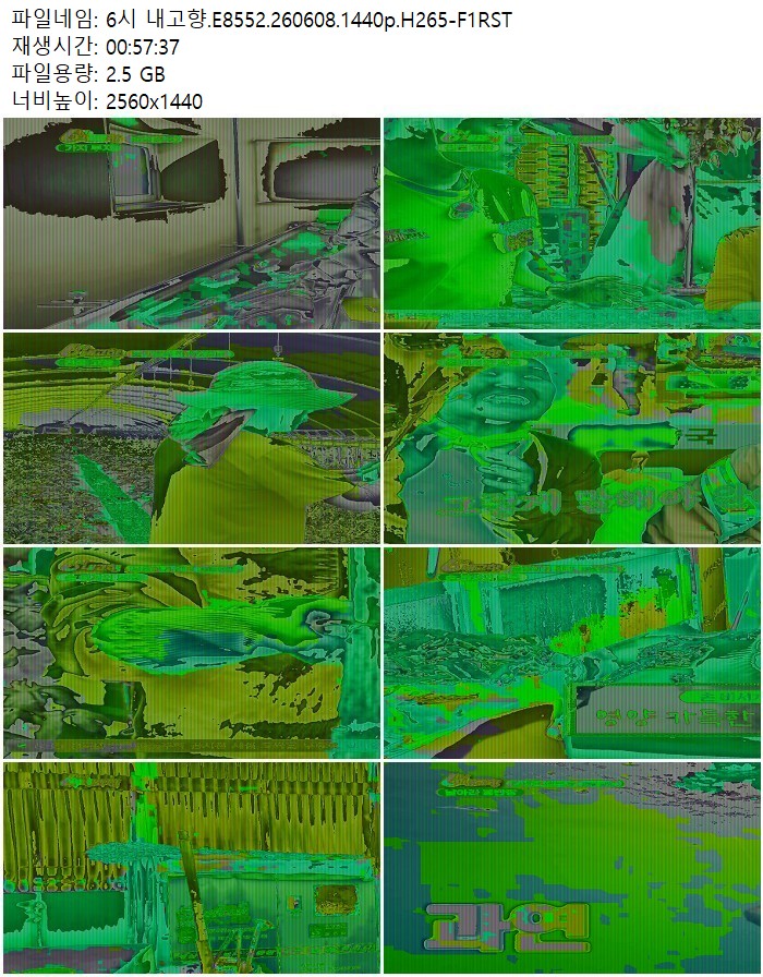 6시 내고향.E8552.260608.1440p.H265
