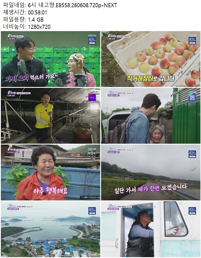 6시 내고향.E8558.260608.720p-NEXT