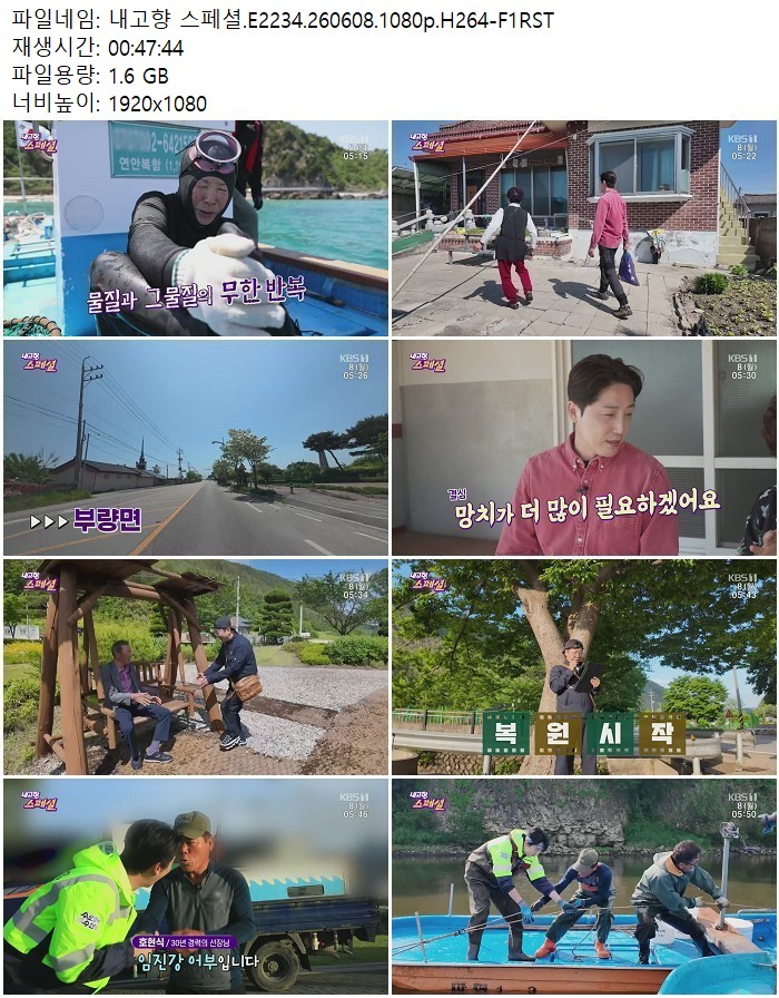 내고향 스페셜.E2234.260608.1080p.H264