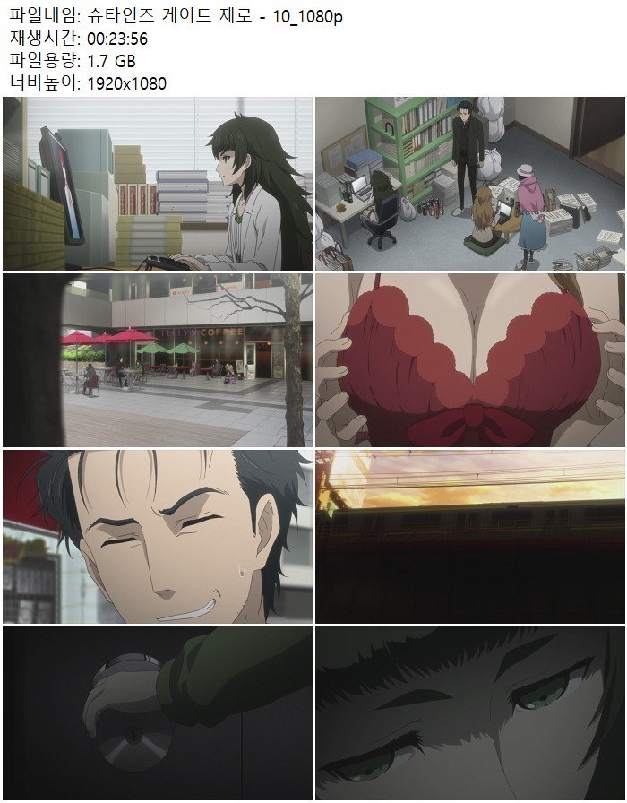 슈타인즈 게이트 제로 - 10_1080p