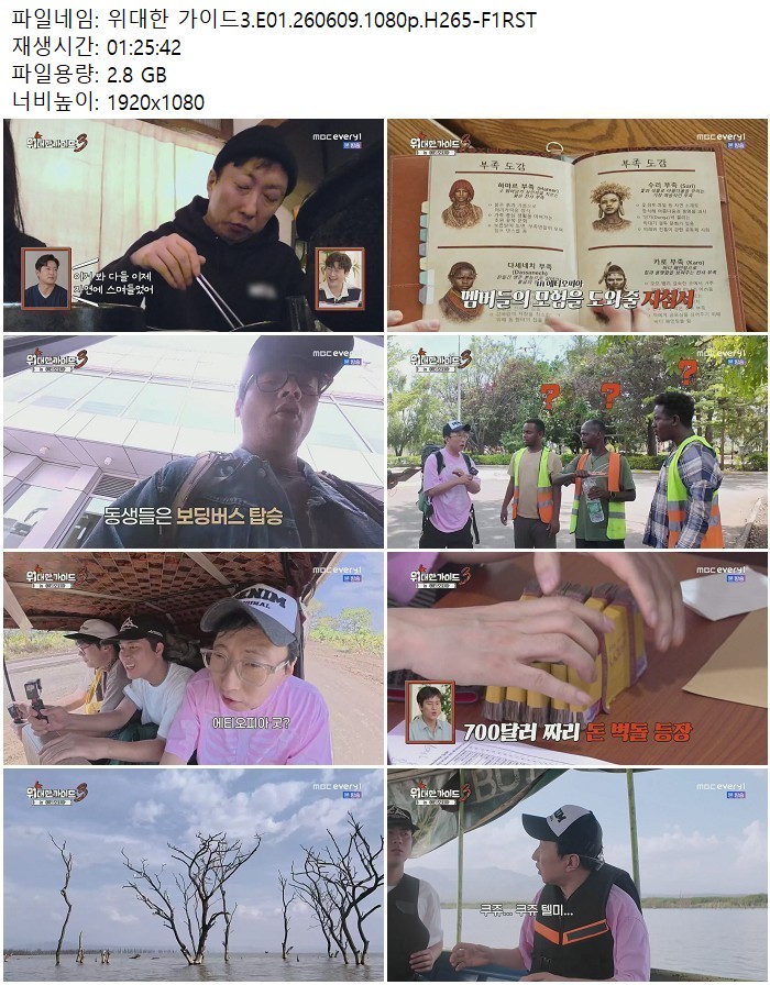 위대한 가이드3.E01.260609.1080p.H265