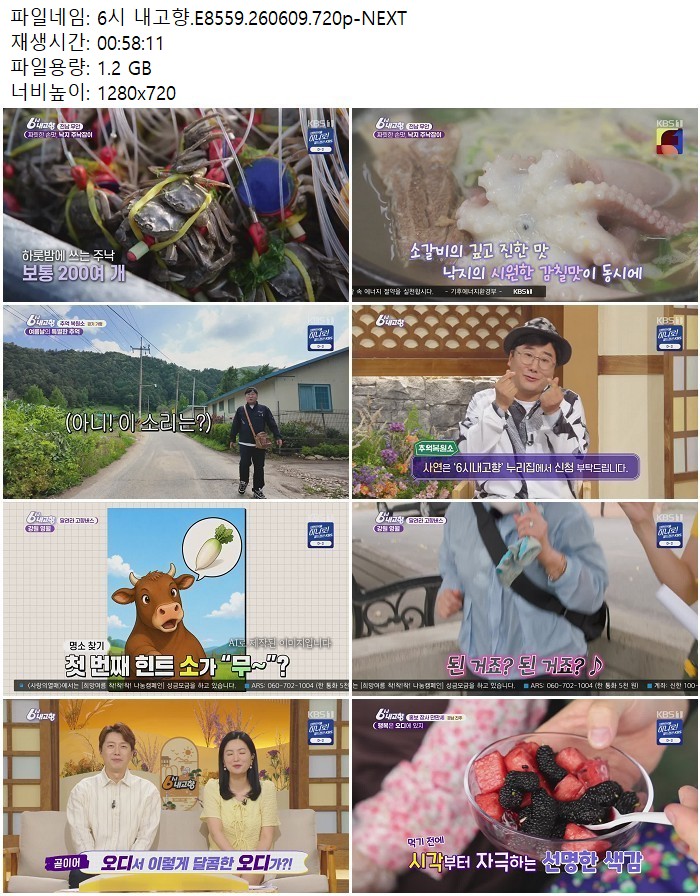 6시 내고향.E8559.260609.720p-NEXT