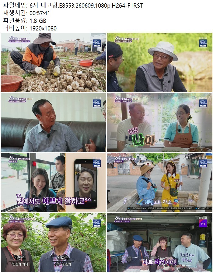 6시 내고향.E8553.260609.1080p.H264