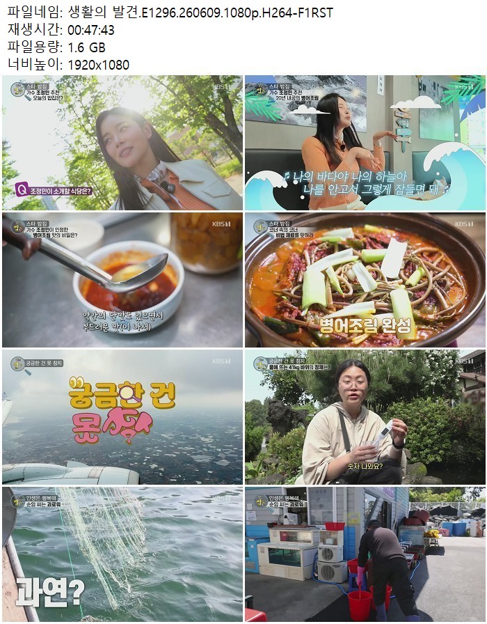 생활의 발견.E1296.260609.1080p.H264