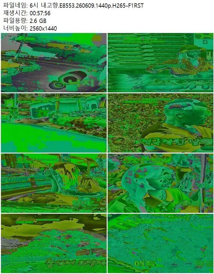 6시 내고향.E8553.260609.1440p.H265