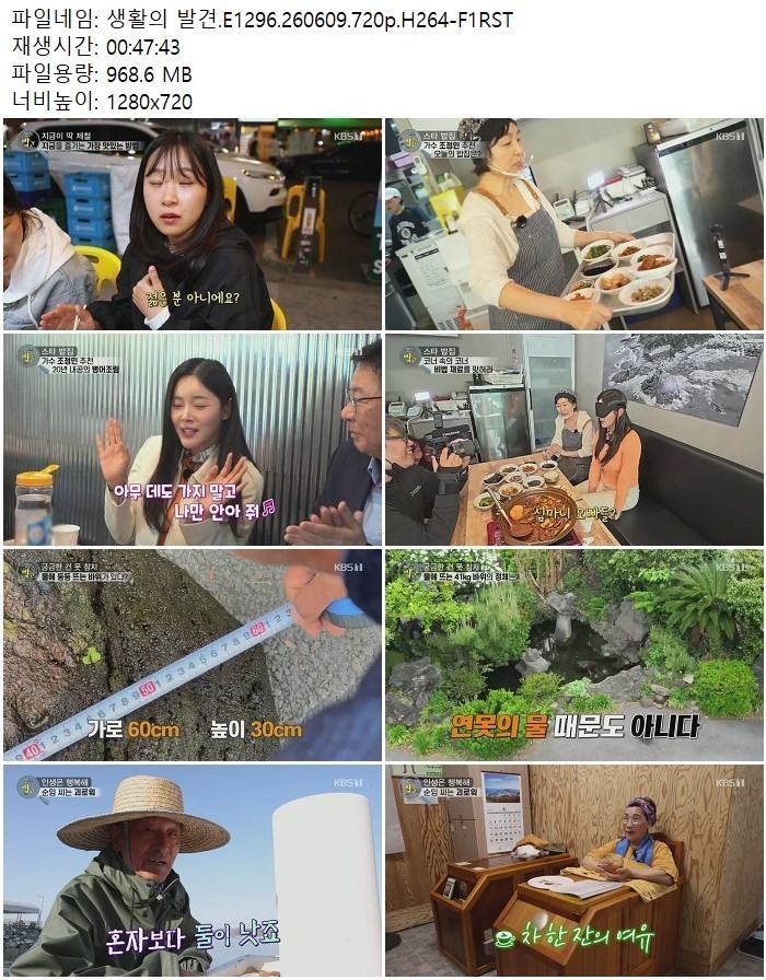 생활의 발견.E1296.260609.720p.H264