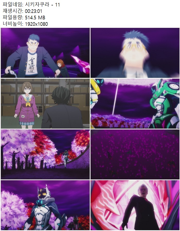 시키자쿠라 - 11화_1080p