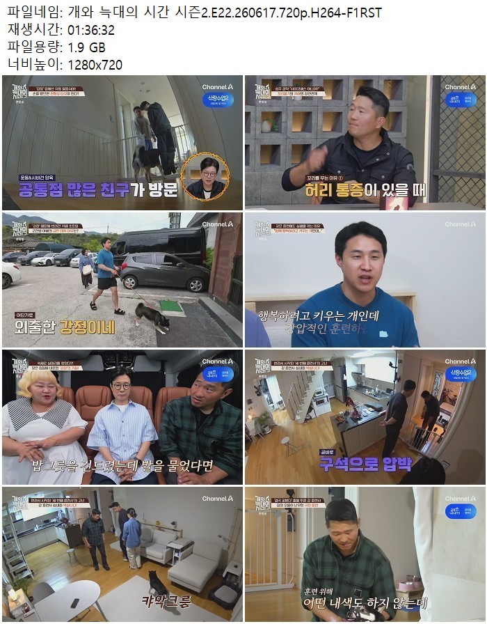 개와 늑대의 시간 시즌2.E22.260617.720p.H264-F1RST