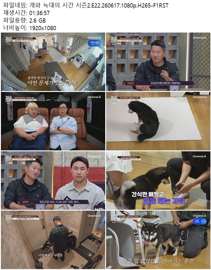 개와 늑대의 시간 시즌2.E22.260617.1080p.H265