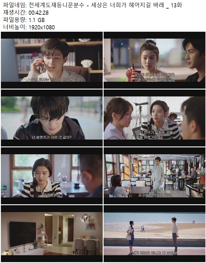 전세계도재등니문분수 - 세상은 너희가 헤어지길 바래 _ 13화