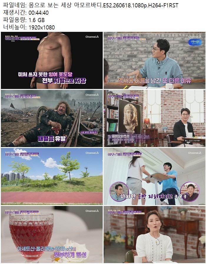 몸으로 보는 세상 아모르바디.E52.260618.1080p.H264
