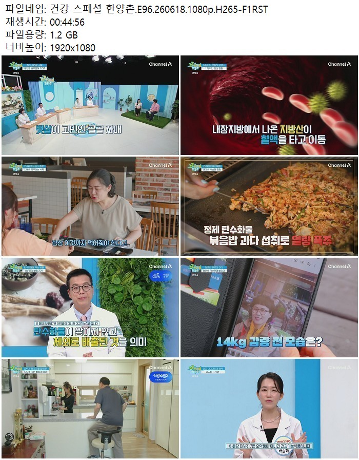 건강 스페셜 한양촌.E96.260618.1080p.H265